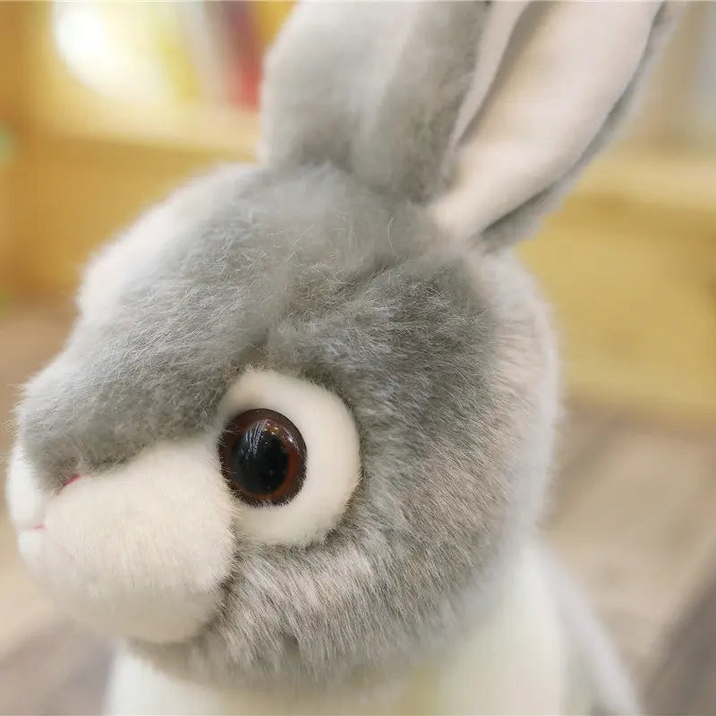 Close-up of a plush toy rabbit with a blurred background