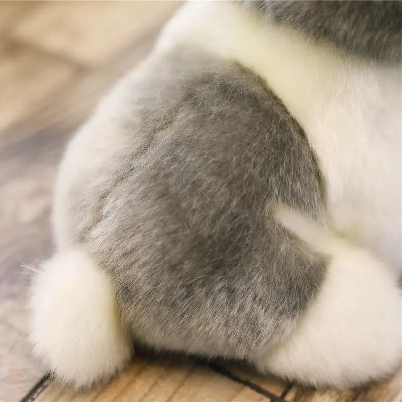 Close-up of a rabbit's tail on a wooden floor
