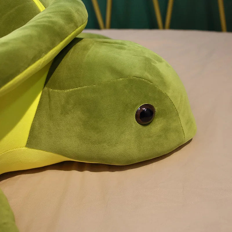 Close up of a soft plush green turtles head, showing details of the eye.
